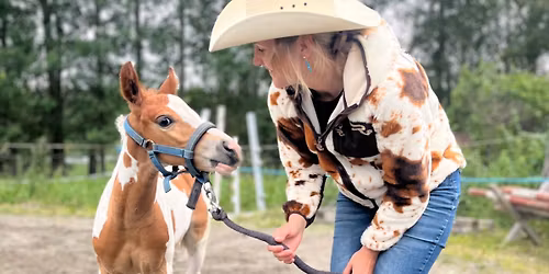 L\u00e4nnenratsastuskurssi by Essi Hotakainen