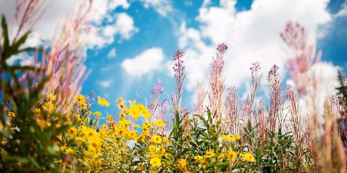 You & Me, Me & You: Exploring Self & Connection Through Buddhist Wisdom & Nonviolent Communication
