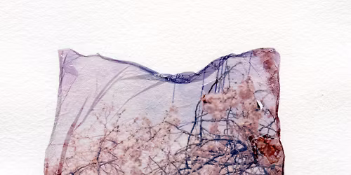 Summer Nights: Polaroid Transfer Printing with Jean Marques