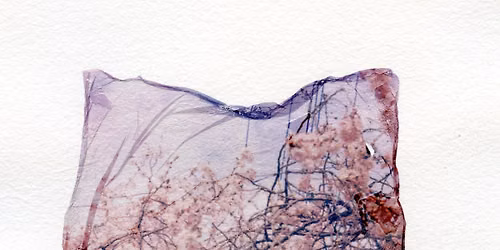 Summer Nights: Polaroid Transfer Printing with Jean Marques