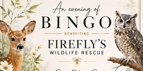 Bingo for wildlife
