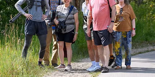 Bird Walk