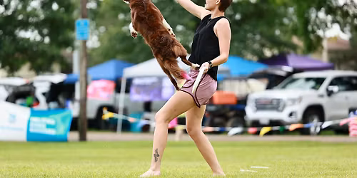 UpDog with Freestyle!