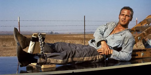 Heat Wave: COOL HAND LUKE - Presented by Nathalie Atkinson