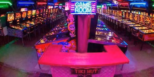 Ann Arbor VFW 2026 spring pinball show 535+ pin games!