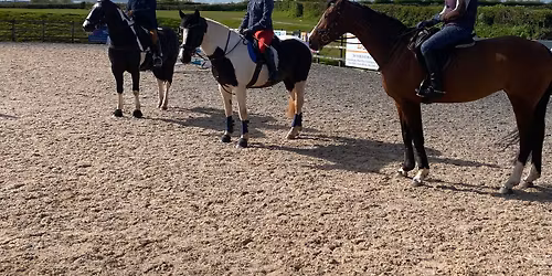 Members only - arena XC