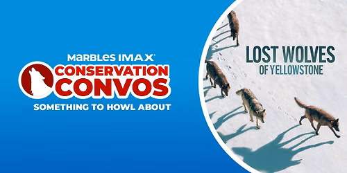 Conservation Convos: Something to Howl About