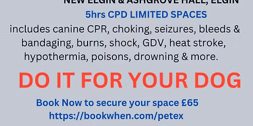 ELGIN 8.3.25 Canine First Aid Course