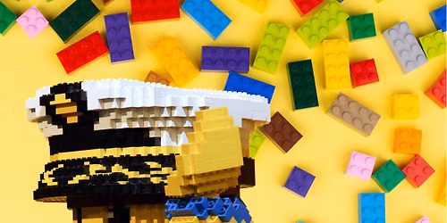 Farr LEGO Club
