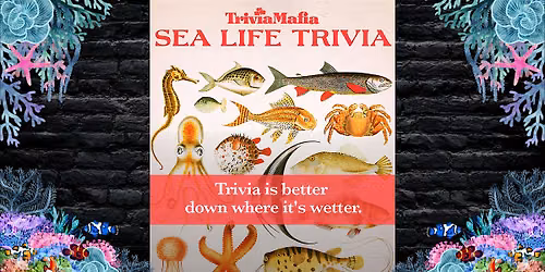 Sea Life Trivia