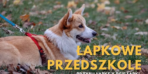 \u0141APKOWE PRZEDSZKOLE | Listopad | Gdynia Or\u0142owo 