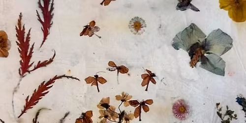 Papermaking-Workshop Berlin: Papiersch\u00f6pfen mit Blumen