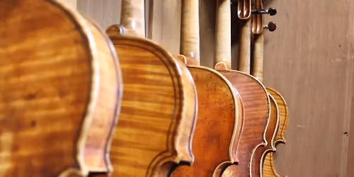 Guarneri House Step up Night