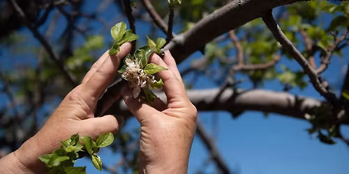Burritos & Lively Up - Tributes to Sublime and Bob Marley