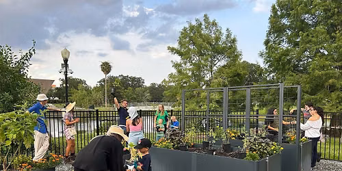 MLK, Jr. Park Learning Garden: Fall Gardening