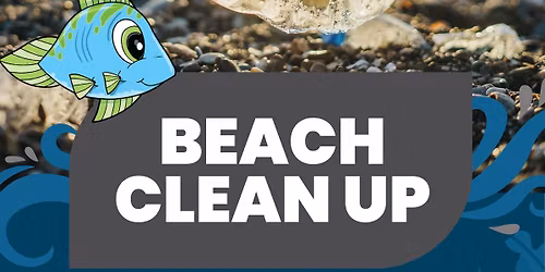 Beach Clean-up: Hermanus