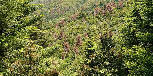 \u039a\u0391\u039b\u0391\u0392\u03a1\u03a5\u03a4\u0391: \u03a0\u03b5\u03b6\u03bf\u03c0\u03bf\u03c1\u03af\u03b1 \u03c3\u03c4\u03bf\u03bd \u03a7\u03b5\u03bb\u03bc\u03cc