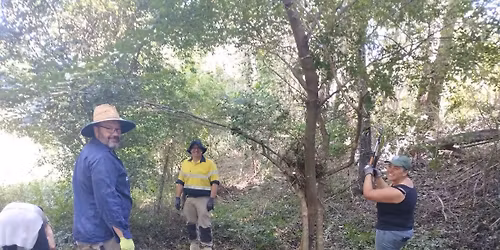 April Bushcare at Gilmore Park