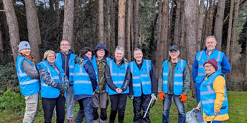 St Faiths Sunflowers Volunteer Day