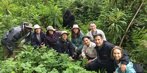 Explore Rwanda 2026 - Steppin' Out Adventures