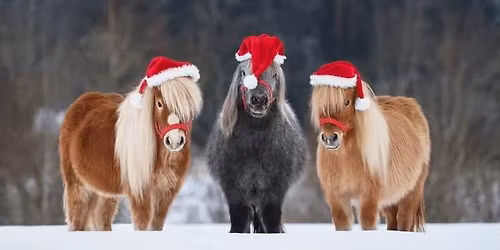 Park County Conservative Women Christmas Party\/Potluck