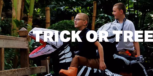 Trick or Trees