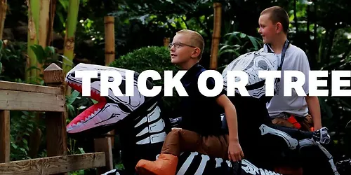 Trick or Trees