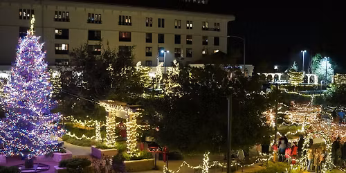 Tree Lighting Ceremony 