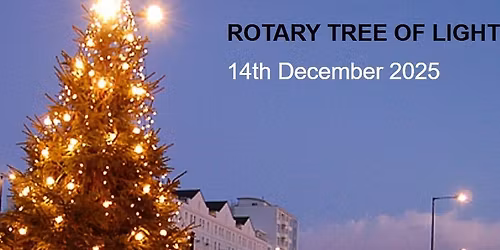 Eastbourne Tree of Light