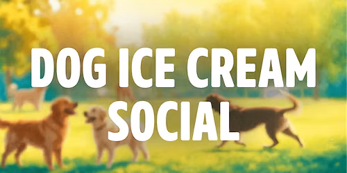 Dog Ice Cream Social