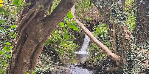 Ruisseau du Moulin de Bailleul.