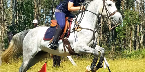 Moruya Pony Club 2025 One Day Event and Combined Training