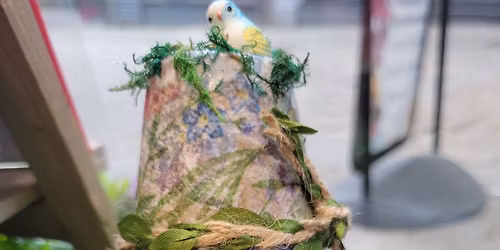 School holidays - spring gonks