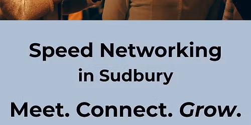 Business Professionals Speed Networking