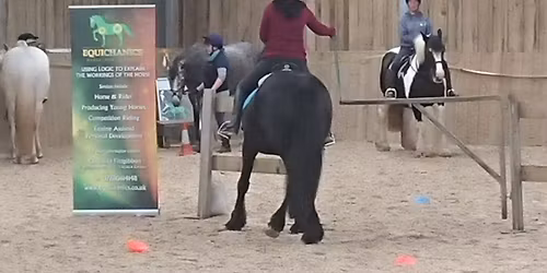 Obstacle training for Working Equitation\/Trec at Cholwell EC INDOOR arena, EX20 4PT