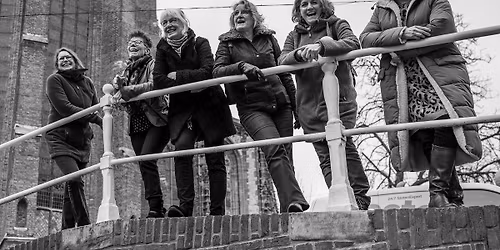 Sunday Sounds- WHY NOT!