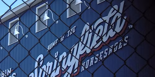 Decatur Baseball vs. Danville Dans