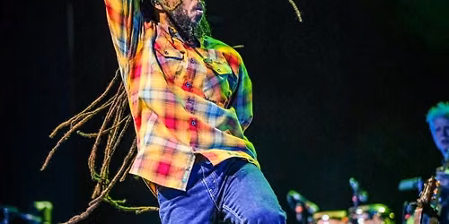Reggae Night XXIV