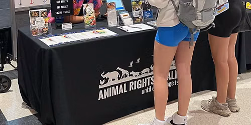 U of M Community Engagement Fair