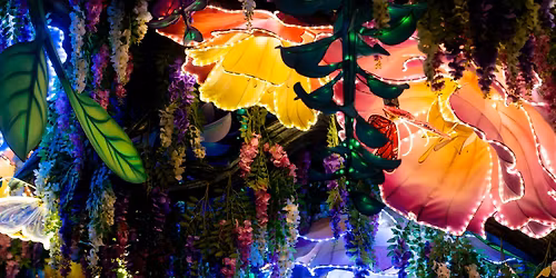 Family Night at Illuminate