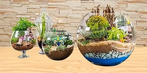 Build a terrarium class!