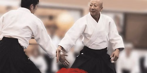 Aikido Shoryukai Europe: Tamayuki Shimamoto sensei 2026