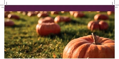 PUMPKIN PATCH POP-UP SHOP