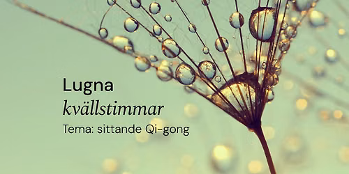 Lugna kv\u00e4llstimmar - sittande Qigong (f\u00f6ranm\u00e4lan)