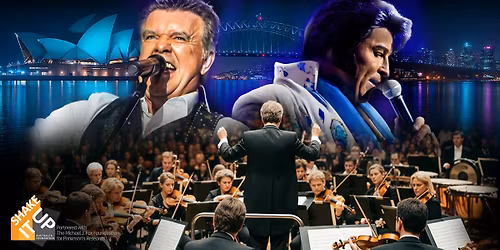 From a Diamond to a King