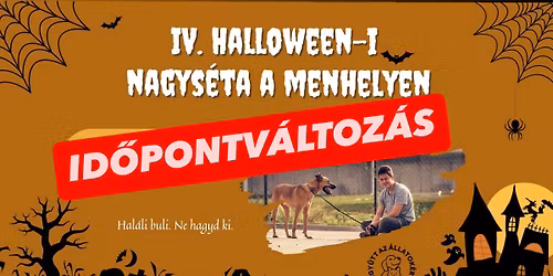 IV. Halloween-i nagys\u00e9ta a menhelyen!\ud83c\udf83