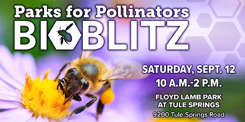 Fourth Annual Parks For Pollinators Bioblitz