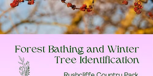Forest Bathing and Winter Tree Identification