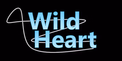 Wild Heart Live At The Cowboy Cactus