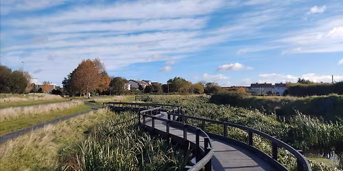 Tymon Park wetlands & flood alleviation works tour
